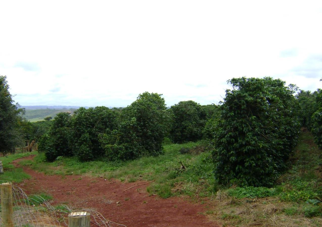 Sitio Sao Benedito Sao Roque de Minas Luaran gambar